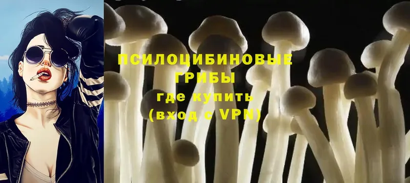 Псилоцибиновые грибы Psilocybine cubensis  mega онион  Вихоревка  где найти  